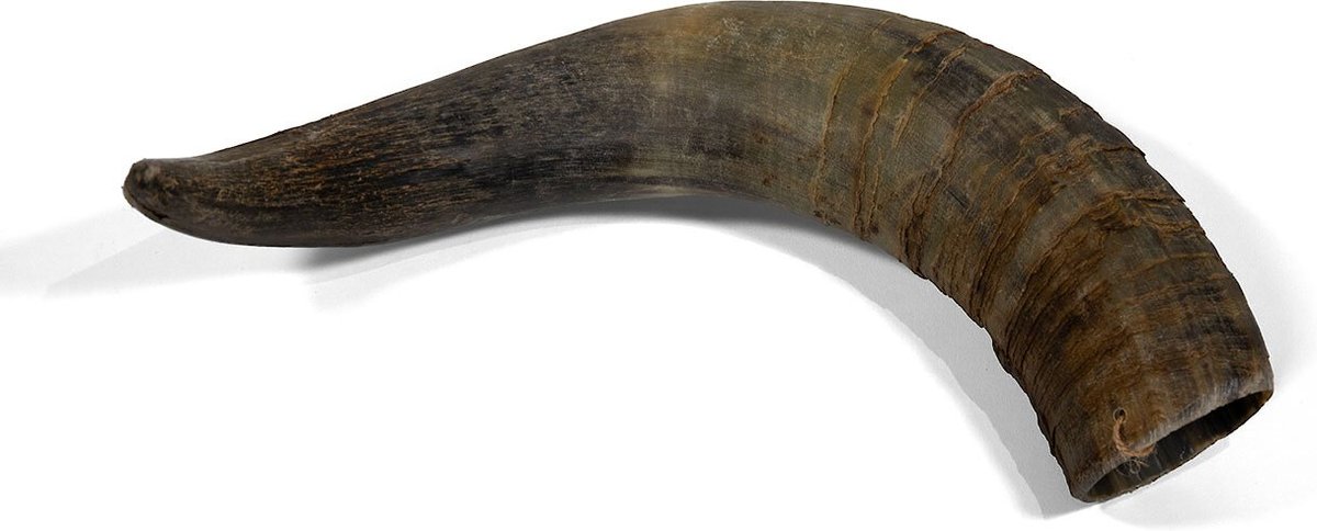 LITTLE LOYALS Premium Cattle Horn Dog Chew, Large - Chewy.com