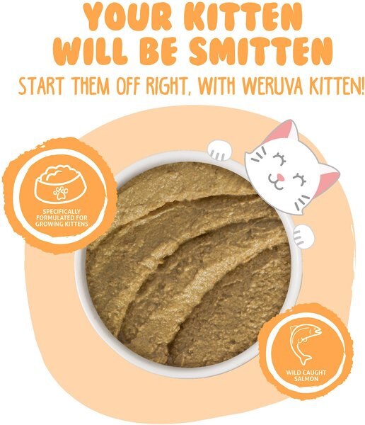 Weruva Kitten Tuna & Salmon Formula in a Hydrating Puree Wet Cat Food, 3-oz can, case of 12