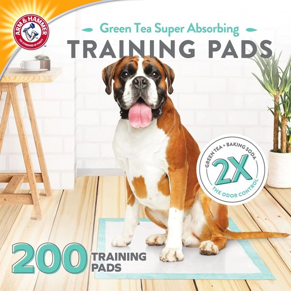 Arm & Hammer Green Tea Premium Dog Training & Potty Pee Pads, 22.5 x 22.5-in, 200 count slide 1 of 7