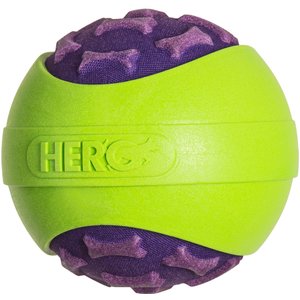 HeroDog Outer Armor Ball Dog Toy, Purple, Small