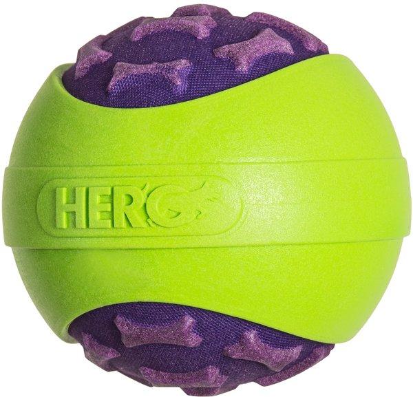 HeroDog Outer Armor Ball Dog Toy, Purple, Large slide 1 of 2