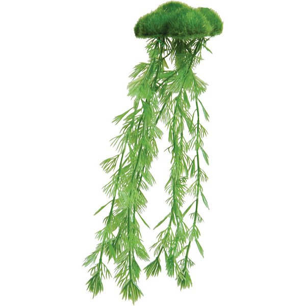 UNDERWATER TREASURES Floating Moss Fish Aquarium Plant - Chewy.com