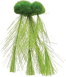 Underwater Treasures Floating Moss with Feather Roots Fish Aquarium Plant