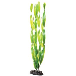 Underwater Treasures Green Jungle Vallisneria Fish Aquarium Plant