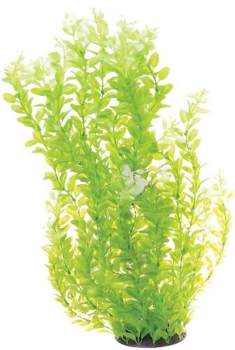 Underwater Treasure White Tipped Cardamine Fish Aquarium Ornament slide 1 of 1