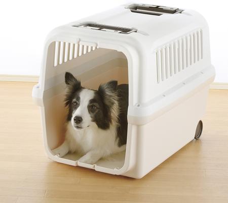 Show full view: Richell E-Z Mobile Dog & Cat Carrier, White/Beige, Small/Medium slide 3 of 3
