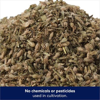 Show full view: Frisco Natural Catnip, 1.25-oz slide 4 of 9