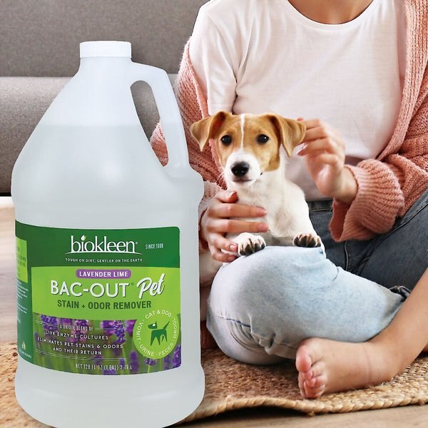 Biokleen Bac-Out Pet Stain & Odor Remover, 1-gal