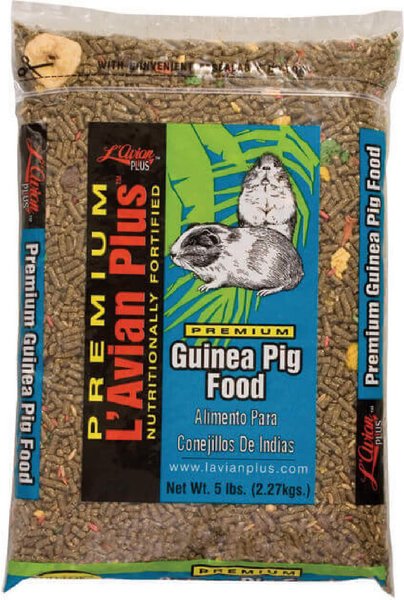 L'Avian Plus Guinea Pig Food, 5-lb bag slide 1 of 7