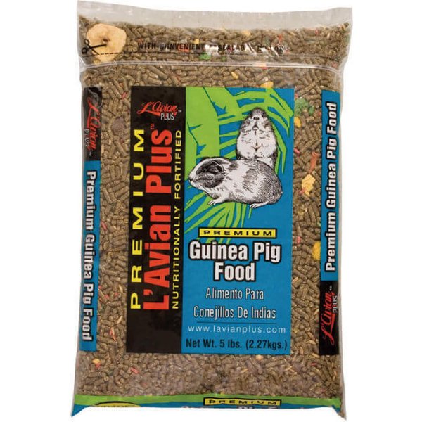 L AVIAN PLUS Guinea Pig Food 5 lb bag Chewy