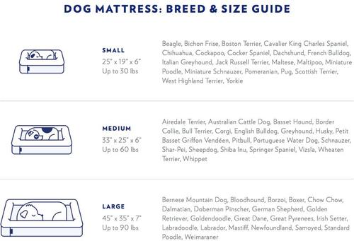 Show full view: Casper Bolster Dog Bed, Gray, Small slide 2 of 10