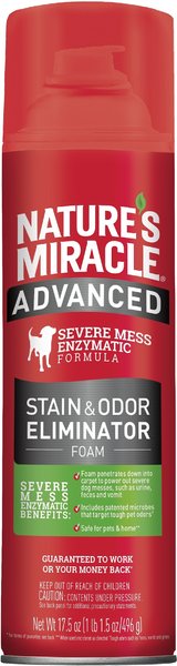 Advanced Dog Enzymatic Stain Remover & Odor Eliminator Foam, 2 count,  17.5-oz bottle slide 1 of 6