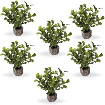 Current USA Weighted Base Button Leaf Aquarium Plant, 6 count, slide 1 of 1