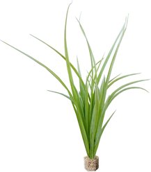 Current USA Fountain Grass Aquarium Plant, Light Green