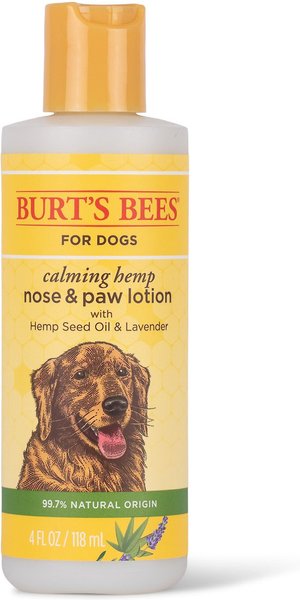 Burt's Bees Calming Hemp Paw & Nose Lotion Dog, 4-oz bottle slide 1 of 5