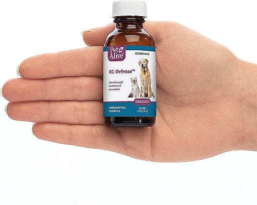 PetAlive KC-Defense Homeopathic Medicine for Kennel Cough for Dogs & Cats, 1-oz jar