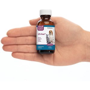 Image showcasing 6 Best Cat UTI & Bladder Treatments 2025: According to Reviews | Chewy