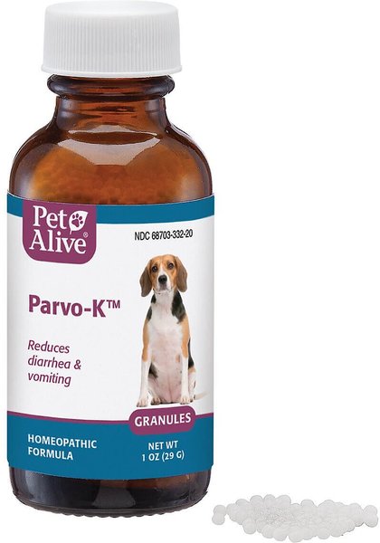 Homeopathic treatment for 2025 parvo in dogs