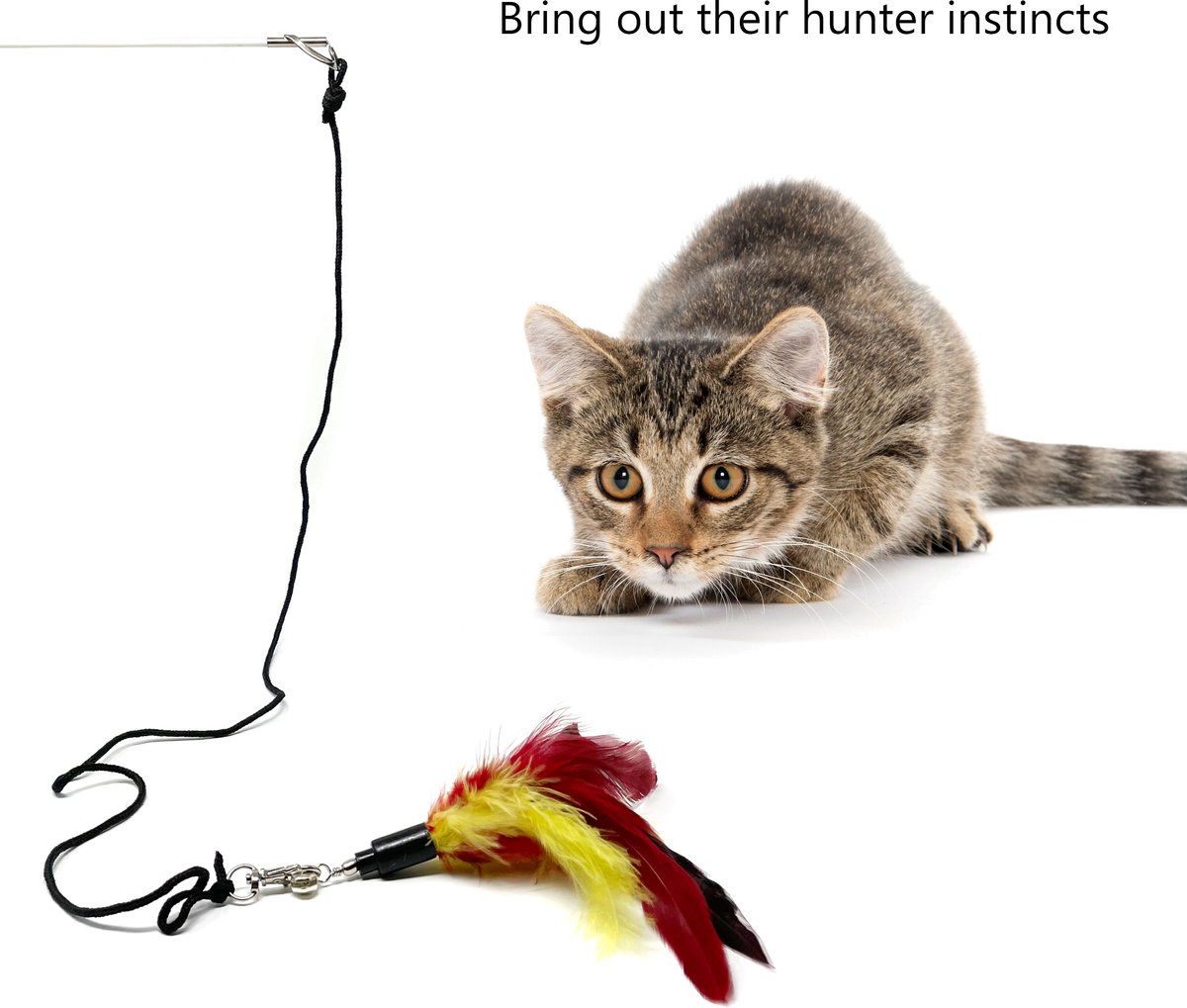 Pet Fit For Life 4-Piece Bundle Interactive Swimming Fish + Feather Wand  Cat Toy
