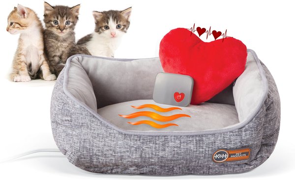 Chewy heated cat clearance beds