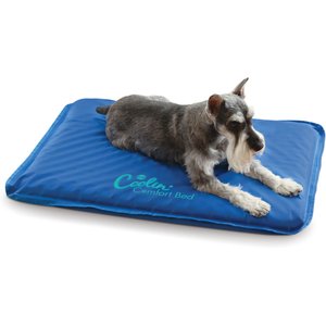 K&H Pet Products Coolin' Comfort Orthopedic Dog Bed, Medium