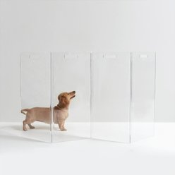 Hiddin Clear View Zig Zag Freestanding Dog & Cat Gate, 4-Panel slide 1 of 9