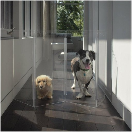 Hiddin Clear View Zig Zag Freestanding Dog Gate, 4-Panel