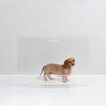 Hiddin Clear View Panel Freestanding Dog Gate, 36-in
