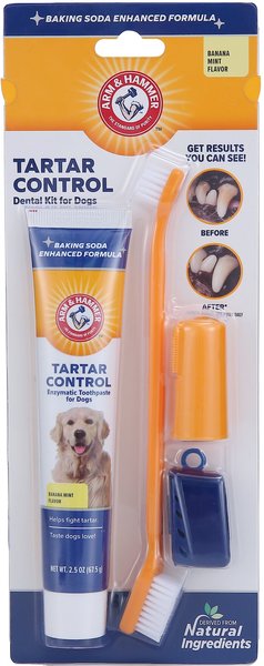 Arm & Hammer Tartar Control Banana Mint Flavored Enzymatic Dog Dental Kit slide 1 of 7