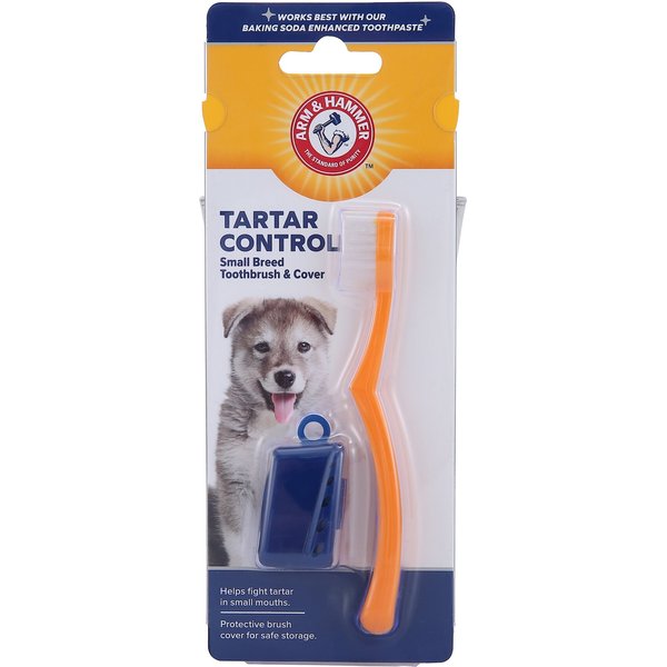 arm and hammer dog toothpaste petsmart