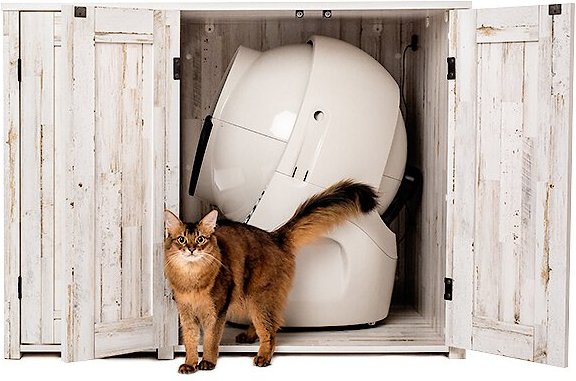 Whisker Litter Robot Cat Box