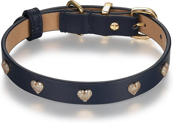 Chewy hotsell leather collar