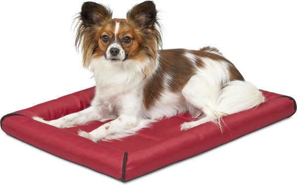 MIDWEST Ultra Durable Bolster Cat & Dog Bed, Red, 24-in - Chewy.com