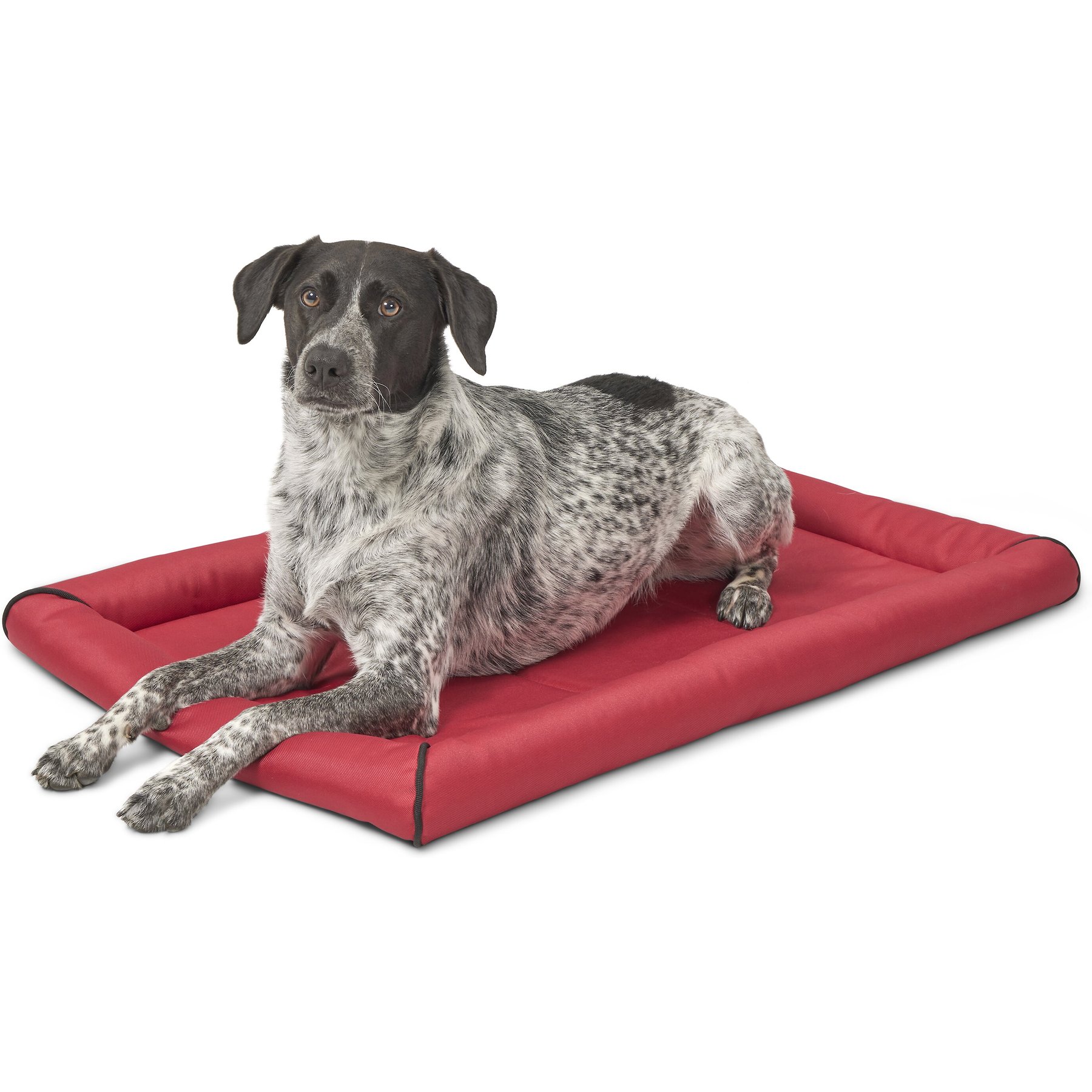 MidWest Ultra Durable Bolster Cat & Dog Bed