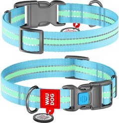 WAUDOG Glow in the Dark QR Passport Nylon Standard Dog Collar, Blue, Small: 9 1/8 to 13 3/4-in neck, 5/8-in wide