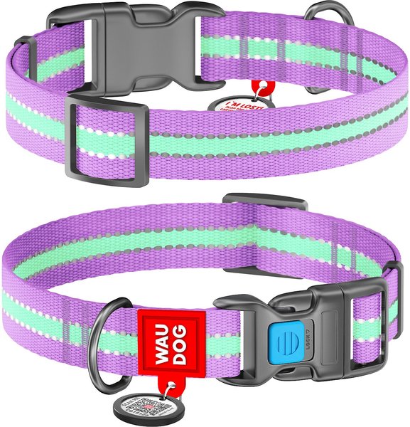 WAUDOG Glow in the Dark QR Passport Nylon Standard Dog Collar, Purple, Small: 9 1/8 to 13 3/4-in neck, 5/8-in wide slide 1 of 7
