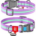 WAUDOG Glow in the Dark QR Passport Nylon Standard Dog Collar, Purple, Medium: 9 1/2 to 15 3/4-in neck, 3/4-in neck
