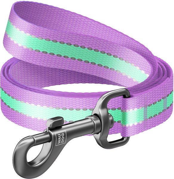 WAUDOG Glow in the Dark Nylon Dog Leash, Purple, Medium: 4-ft long, 3/4-in wide slide 1 of 6