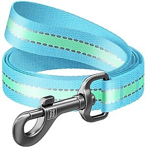WAUDOG Glow in the Dark Nylon Dog Leash, Blue, Large: 4-ft long, 1-in wide