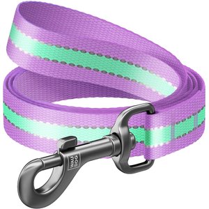 WAUDOG Glow in the Dark Nylon Dog Leash, Purple, Large: 4-ft long, 1-in wide