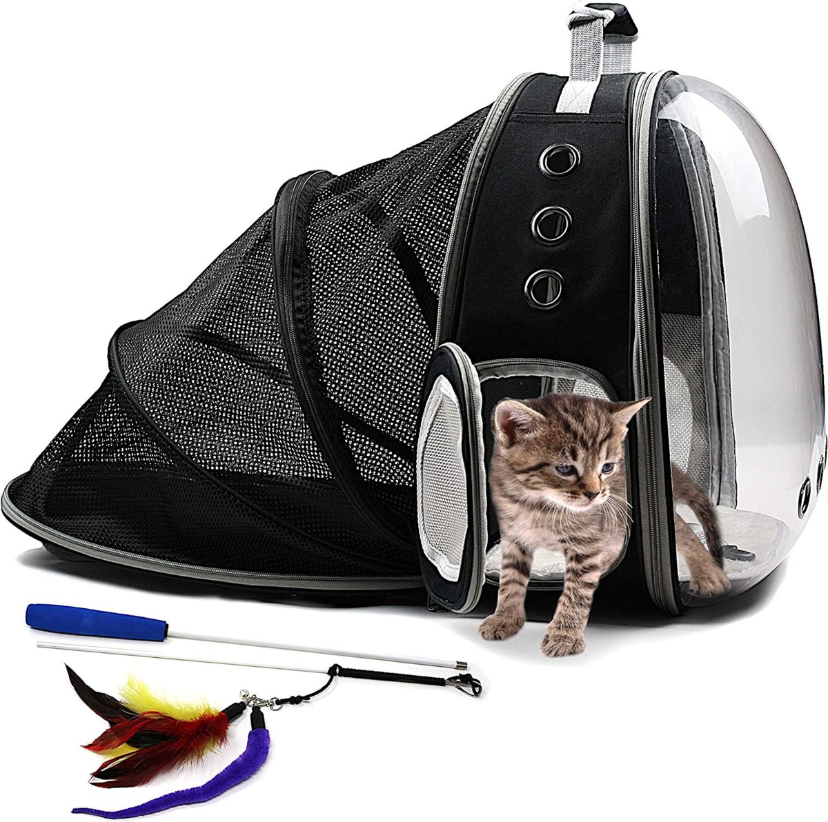 Bubble hotsell cat backpack