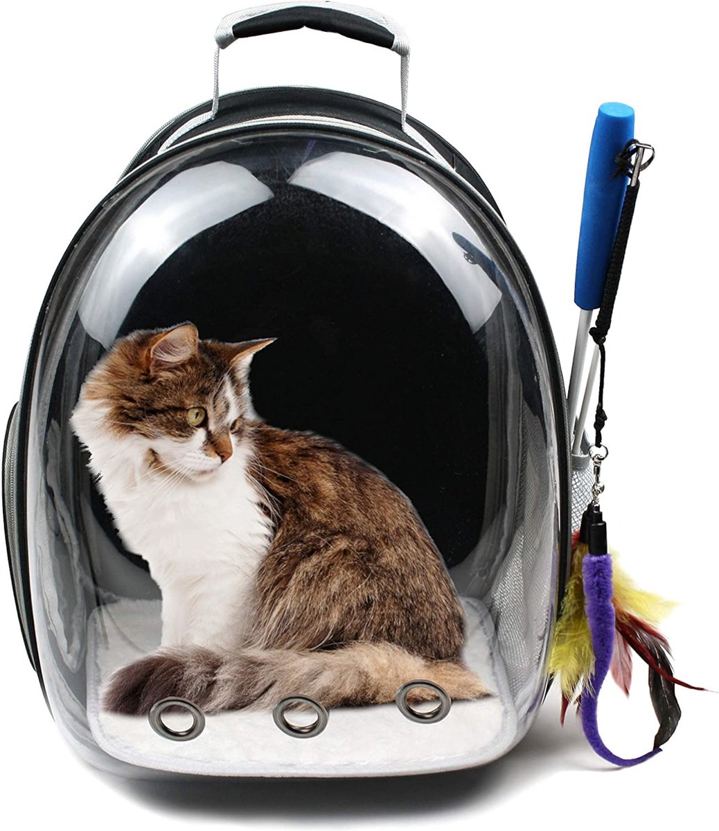 Chewy cat outlet backpack