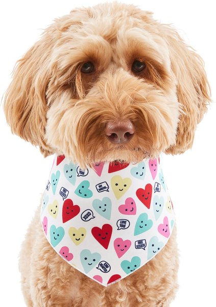 Dog Bandana, Love XOXO