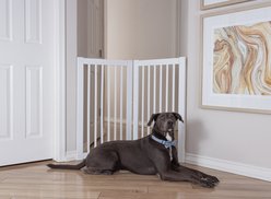 Primetime Petz 360 Configurable Gate Extension Kit, White, 36-in