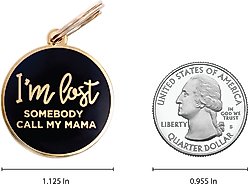 Two Tails Pet Company Personalized I'm Lost Dog & Cat ID Tag, Navy slide 2 of 5