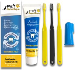 Pet Republique Enzymatic Toothpaste Kit with Handle Toothbrushes Beef Flavor for Dogs & Cats, 3.5-oz