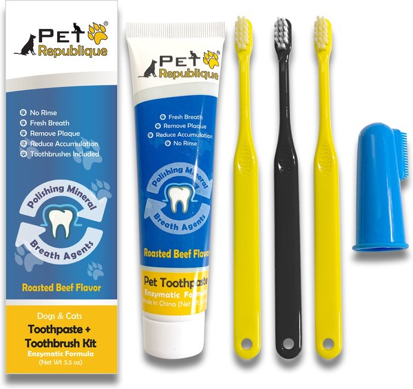 PET REPUBLIQUE Enzymatic Toothpaste Kit with Handle Toothbrushes Beef ...