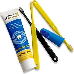 Pet Republique Enzymatic Toothpaste Kit with Handle Toothbrushes Beef Flavor for Dogs & Cats, 3.5-oz slide 2 of 5