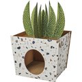 Frisco Potted Succulent Cardboard Cat House