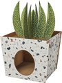 Frisco Potted Succulent Cardboard Cat House